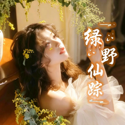 绿野仙踪🍉