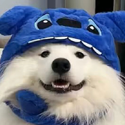 积极爆