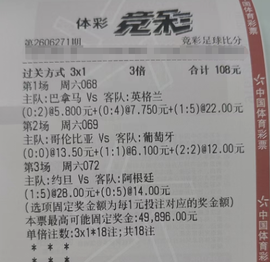 20翩若惊鸿26的图片