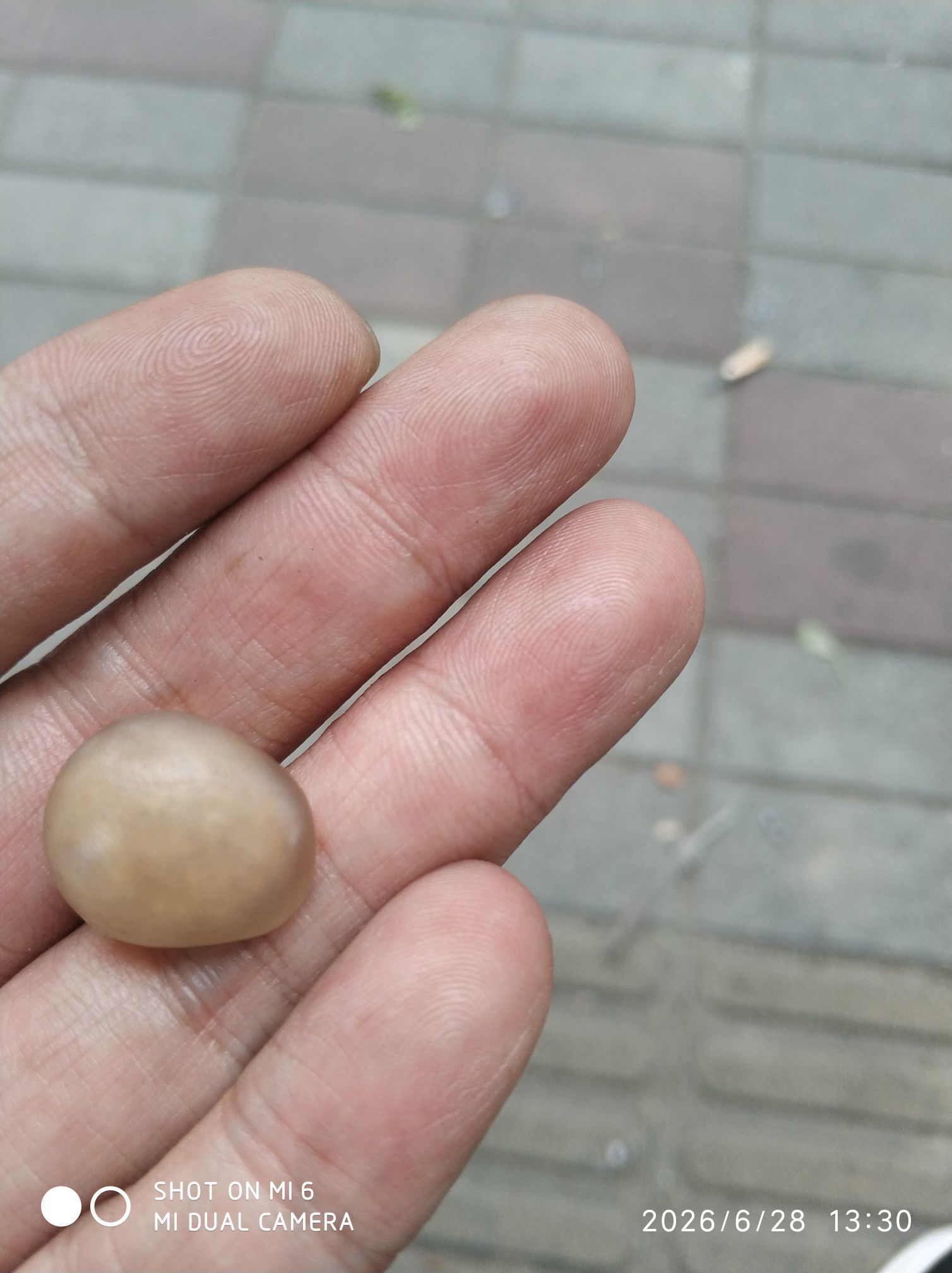 杀止若主播图片