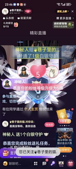 ❦巷子里的猫.主播照片