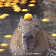 九龙天帝