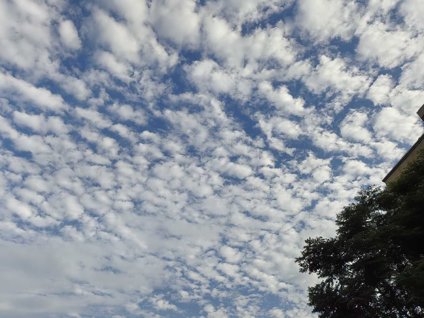天王盖地虎虎044的主播照片