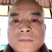 来自迪拜的鹦鹉