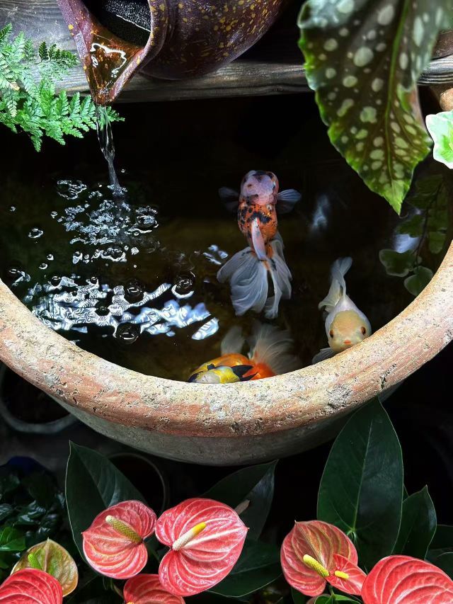 元宝儿ღ的主播照片