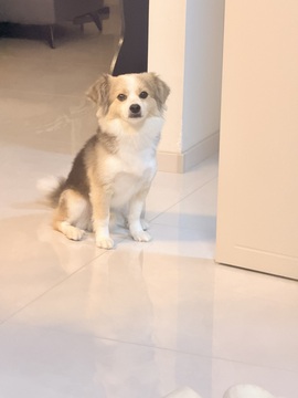 小小鱼🐬一点半播主播照片