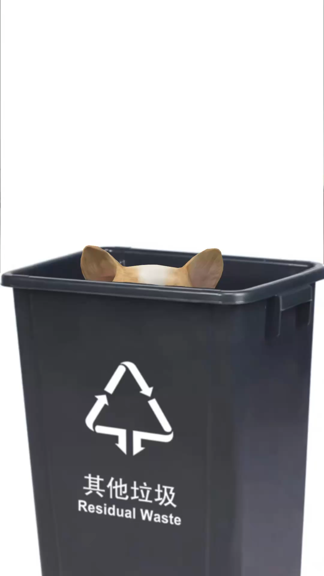 捡到了一个小狗