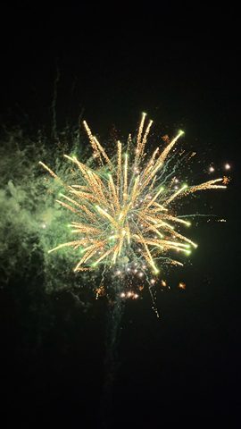 小小提主播照片