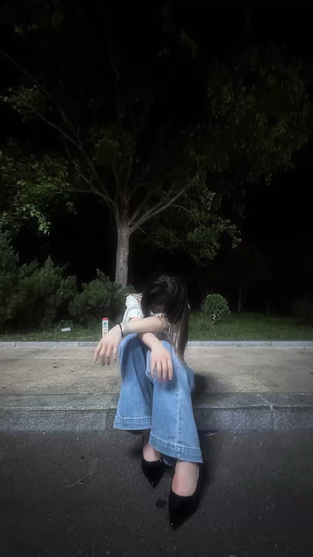 自由是我的向往也是我