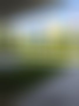 晴儿7月21号生日会主播图片
