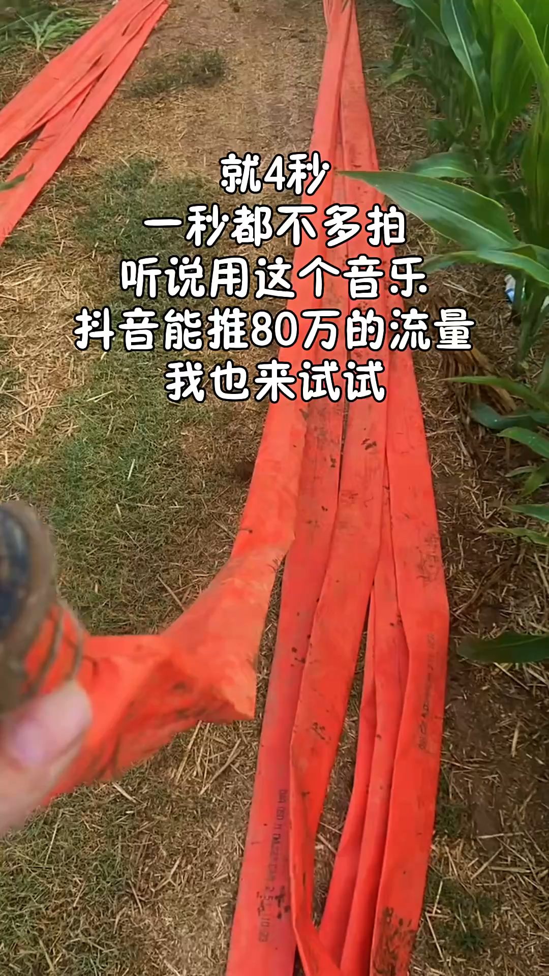 观看71次