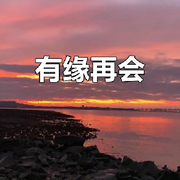 退网倒计时！！！！！