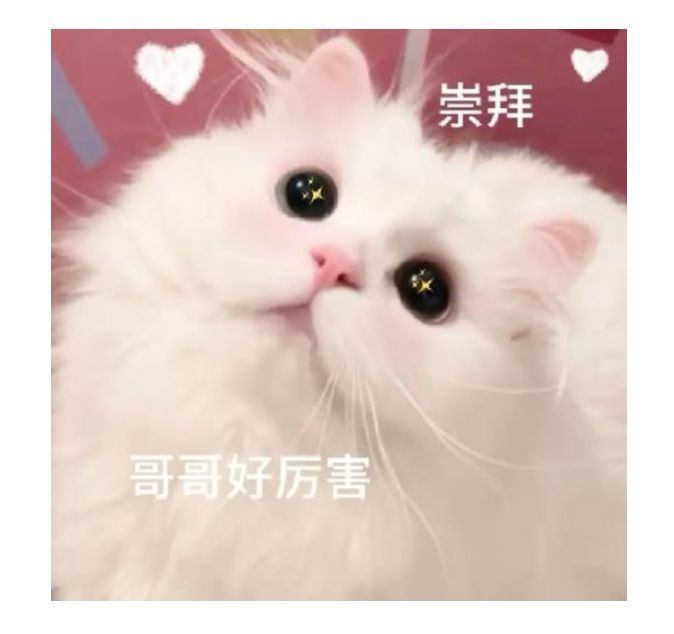 心儿ღ主播图片