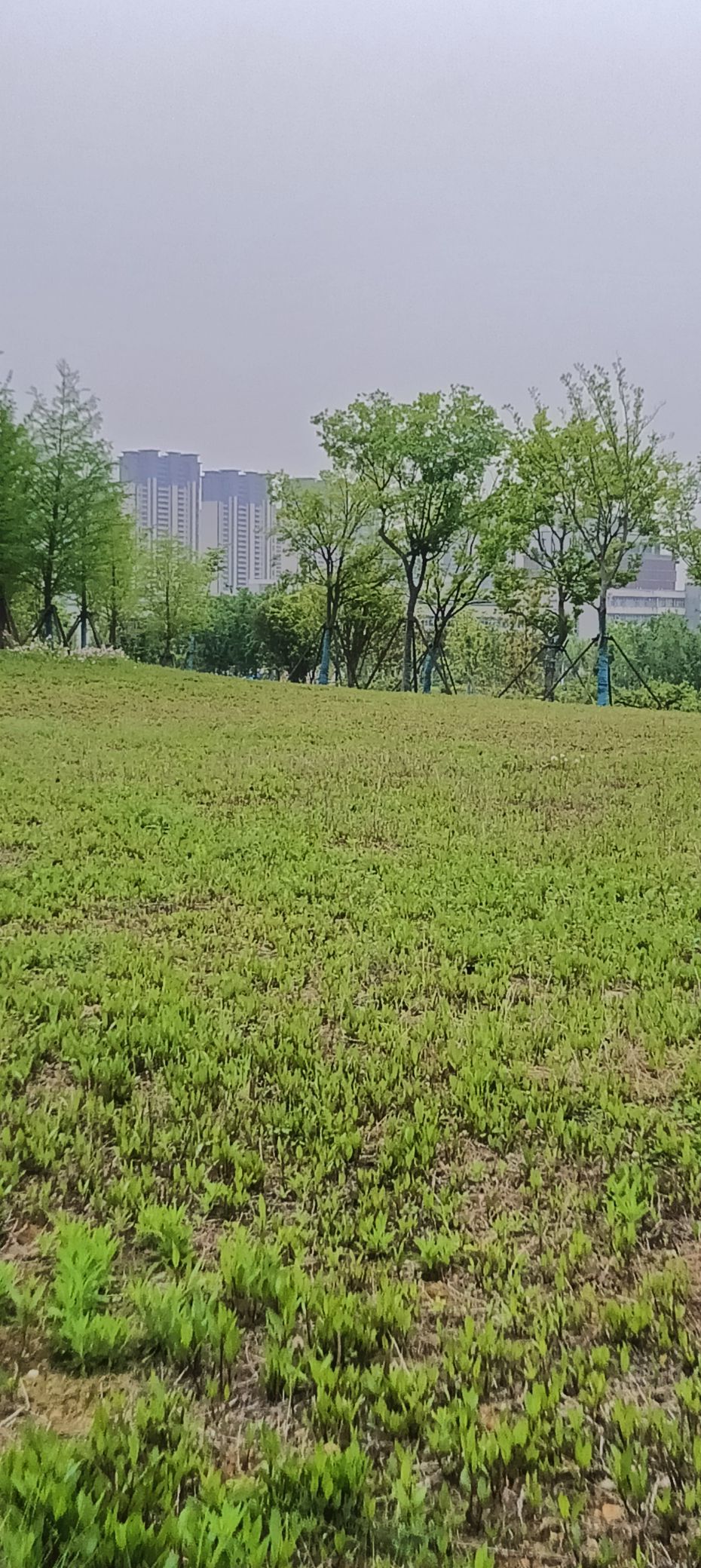 傲世_天下的主播照片