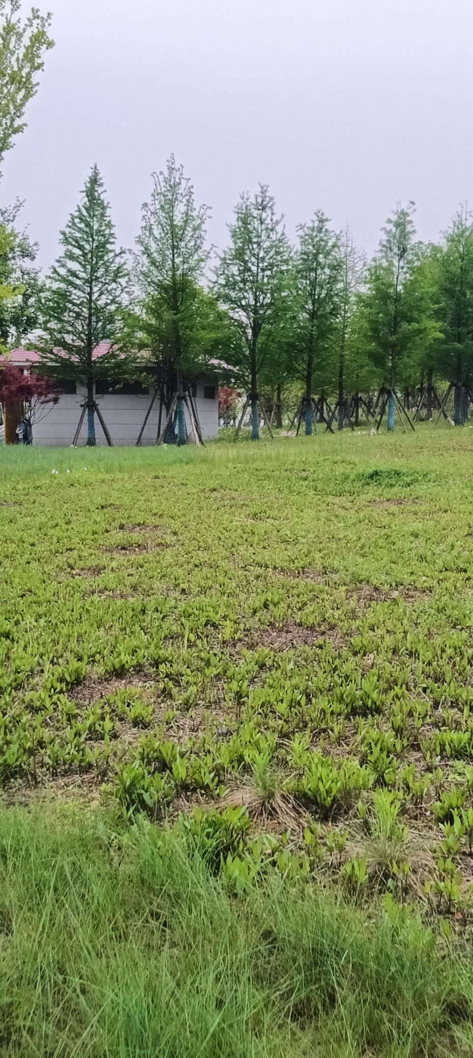 傲世_天下的主播照片