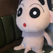 蛋弟儿（新人主播）