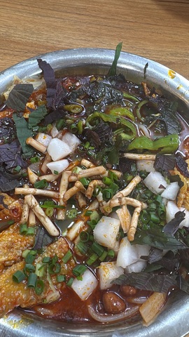 白Y鸭的图片