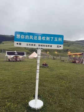 宝莉吖的图片