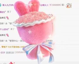 新人九万求六百过任务主播照片