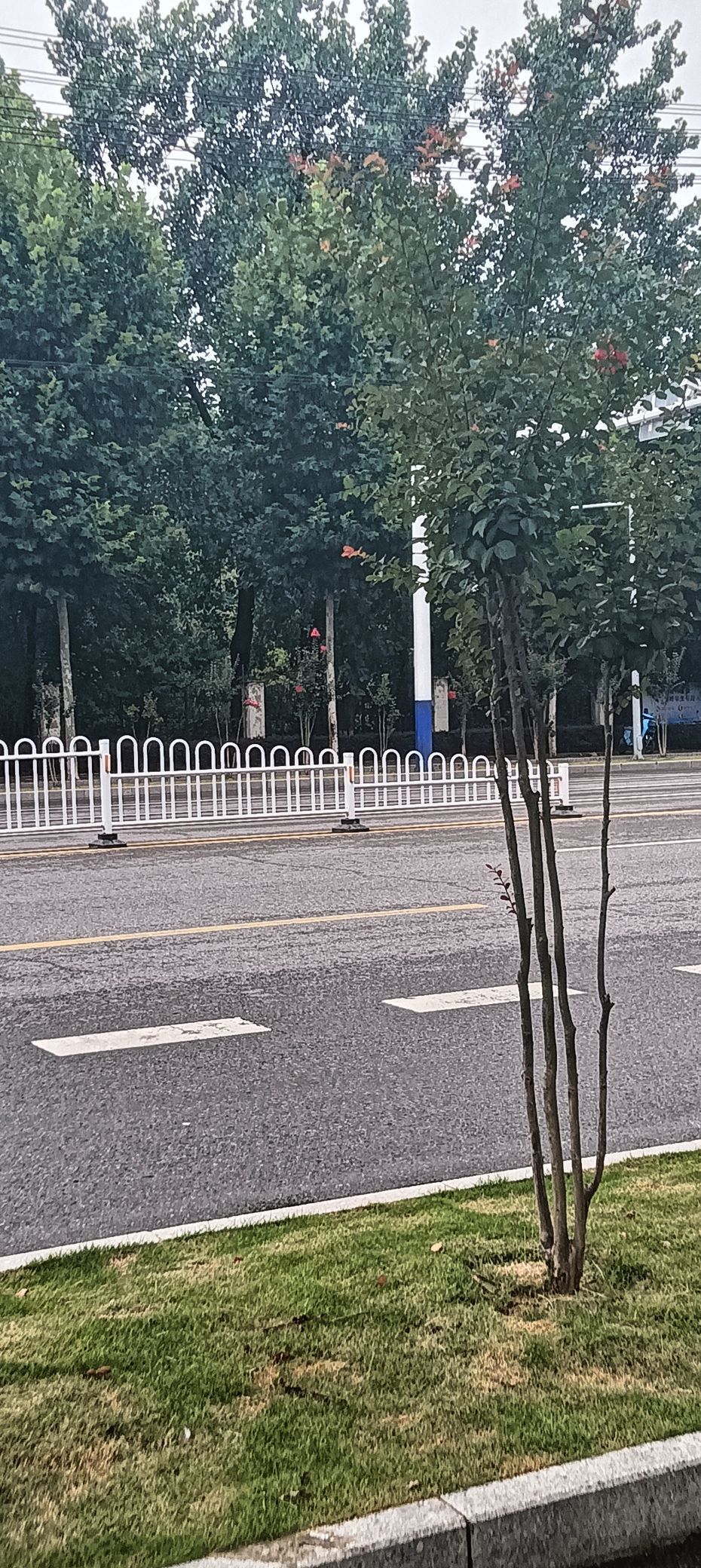 傲世_天下的主播照片