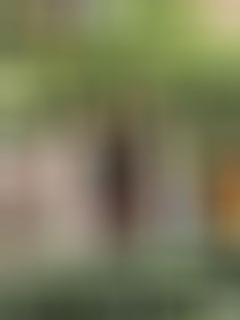 晴儿不连麦主播图片