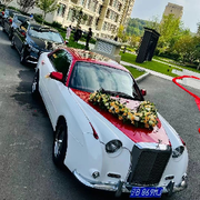 楠总宝宝求宠爱的头像