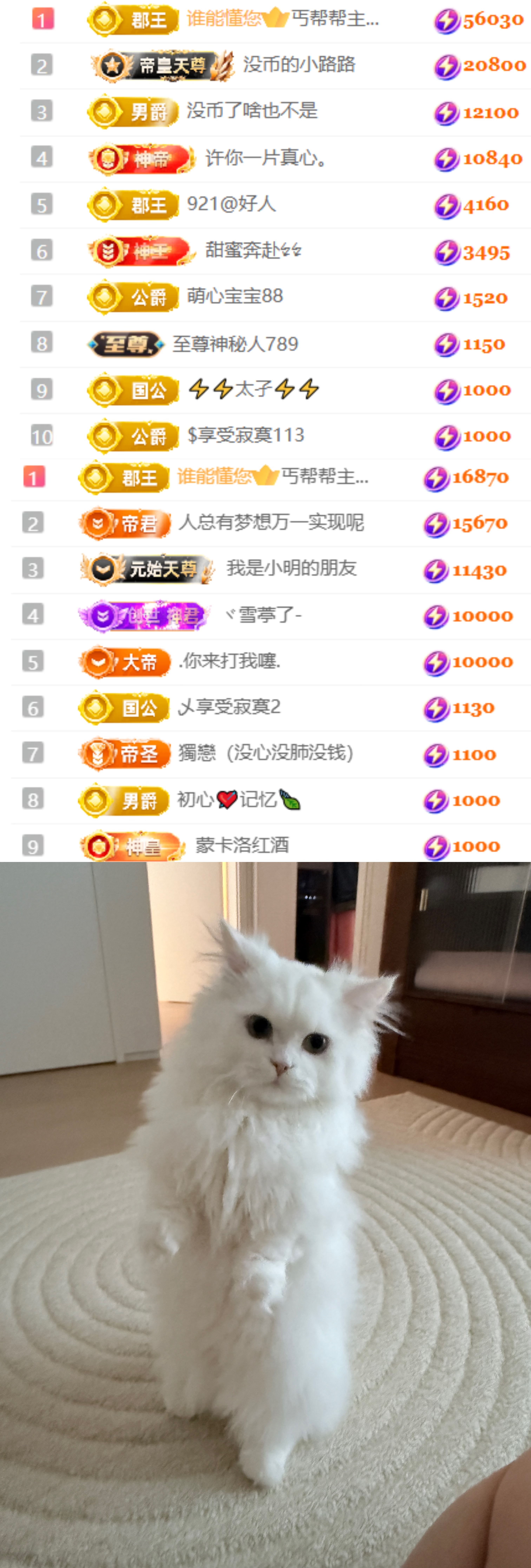 陈慧慧🥕早10晚8的主播照片
