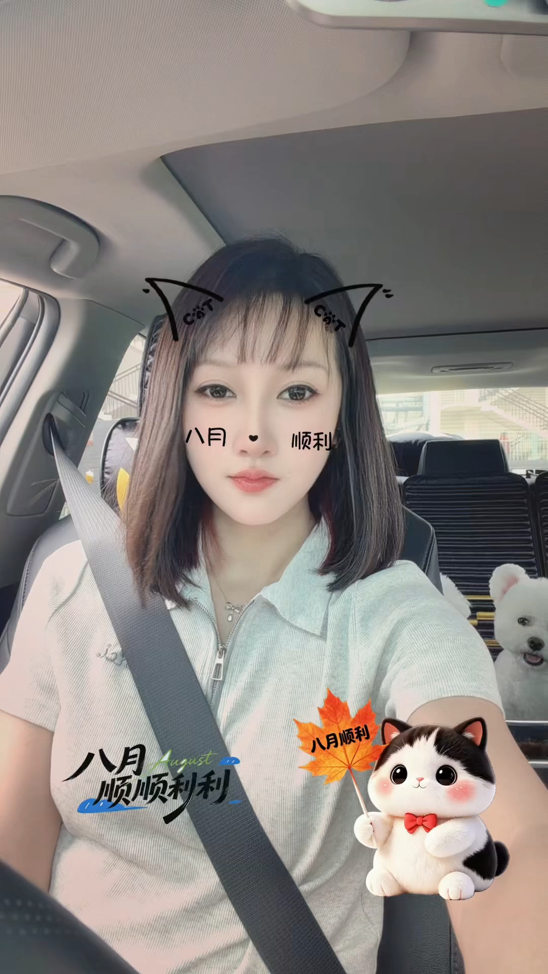 今晚开播，大吉大利，