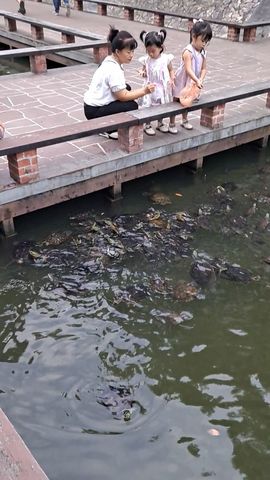一只楚楚熊☆的图片