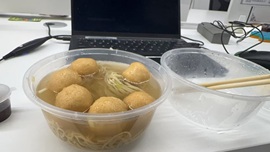 白Y鸭的图片