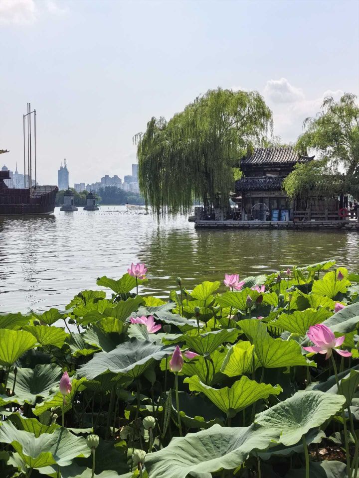 天王盖地虎虎044主播图片