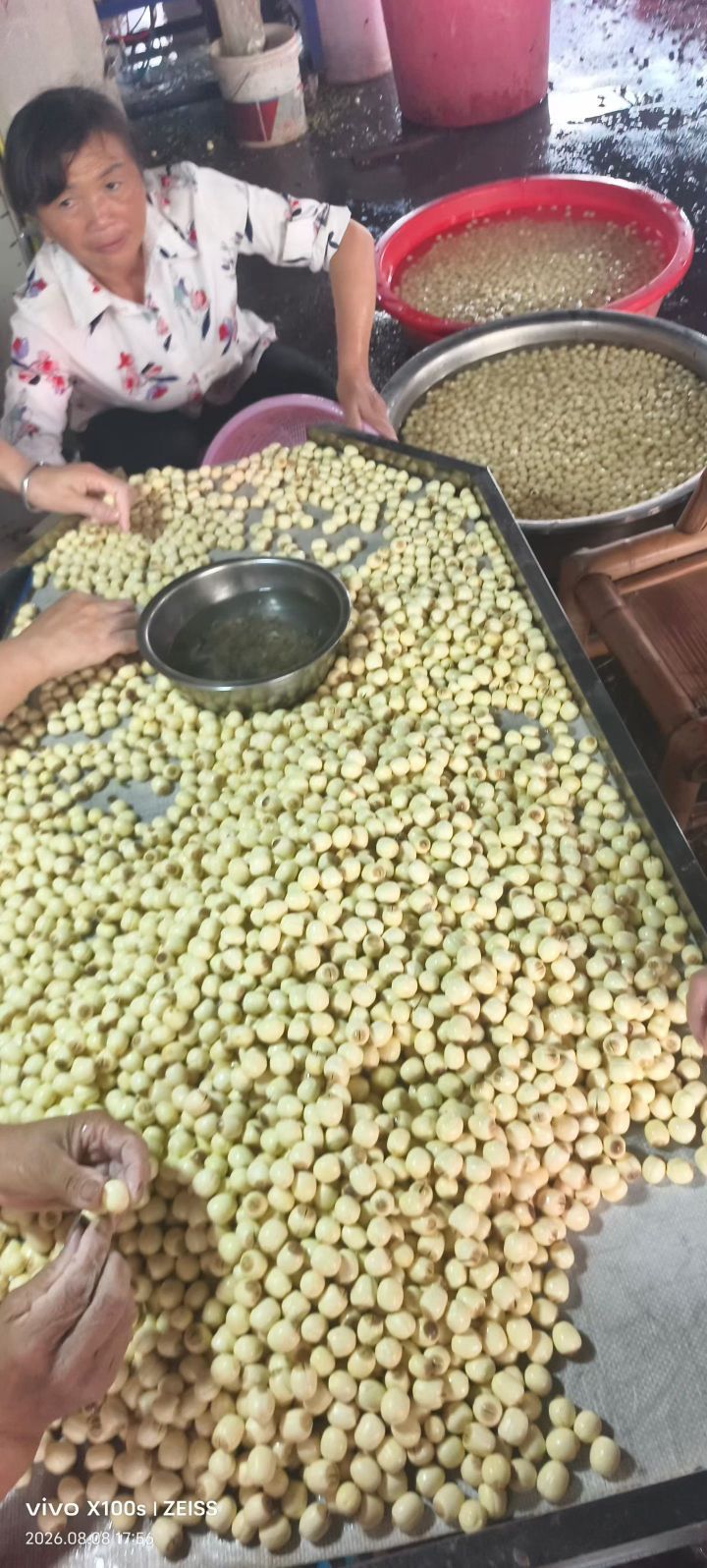 好运妞妞🤪的主播照片