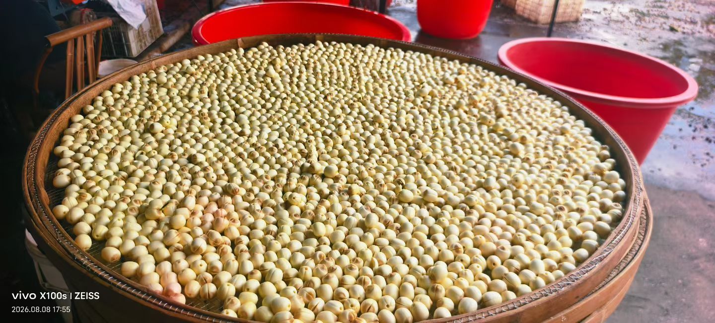 好运妞妞🤪的主播照片