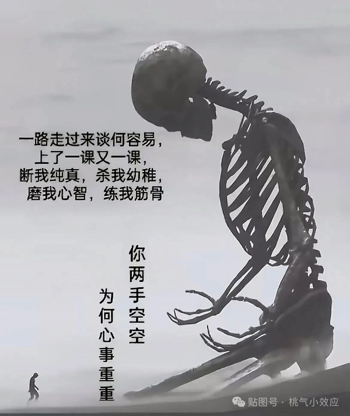 C_@零度🍒mc的图片