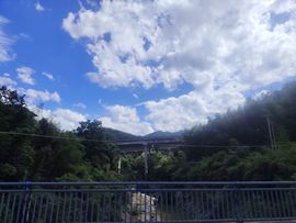 琴儿28号晚上见的图片