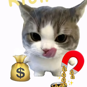 新人。。猫猫的头像