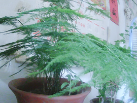 转大爷，，的图片