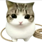 零鱼。