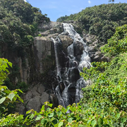 陈中愿