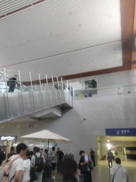 爱意随风起，扶雨直上的图片