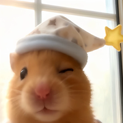 苏杳yao~