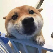 天天瞎惹情劫
