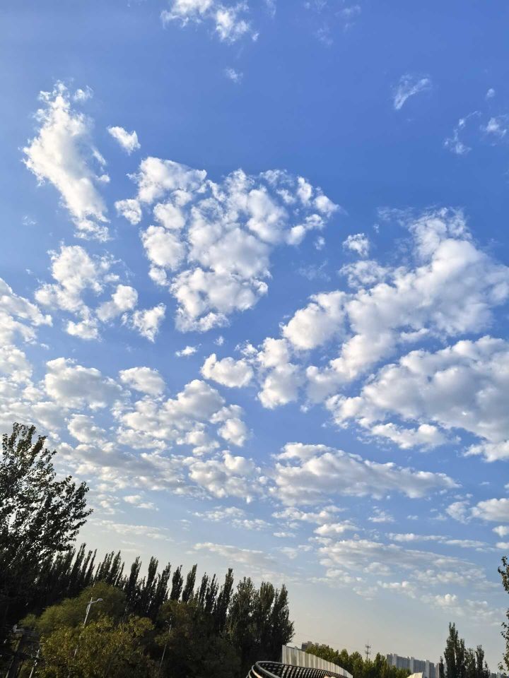 天王盖地虎虎044的主播照片