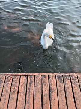 静～静～主播照片