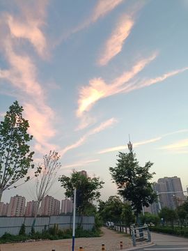 婷婷💕感恩有你陪伴的图片