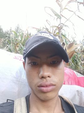 杨忠QpX的图片