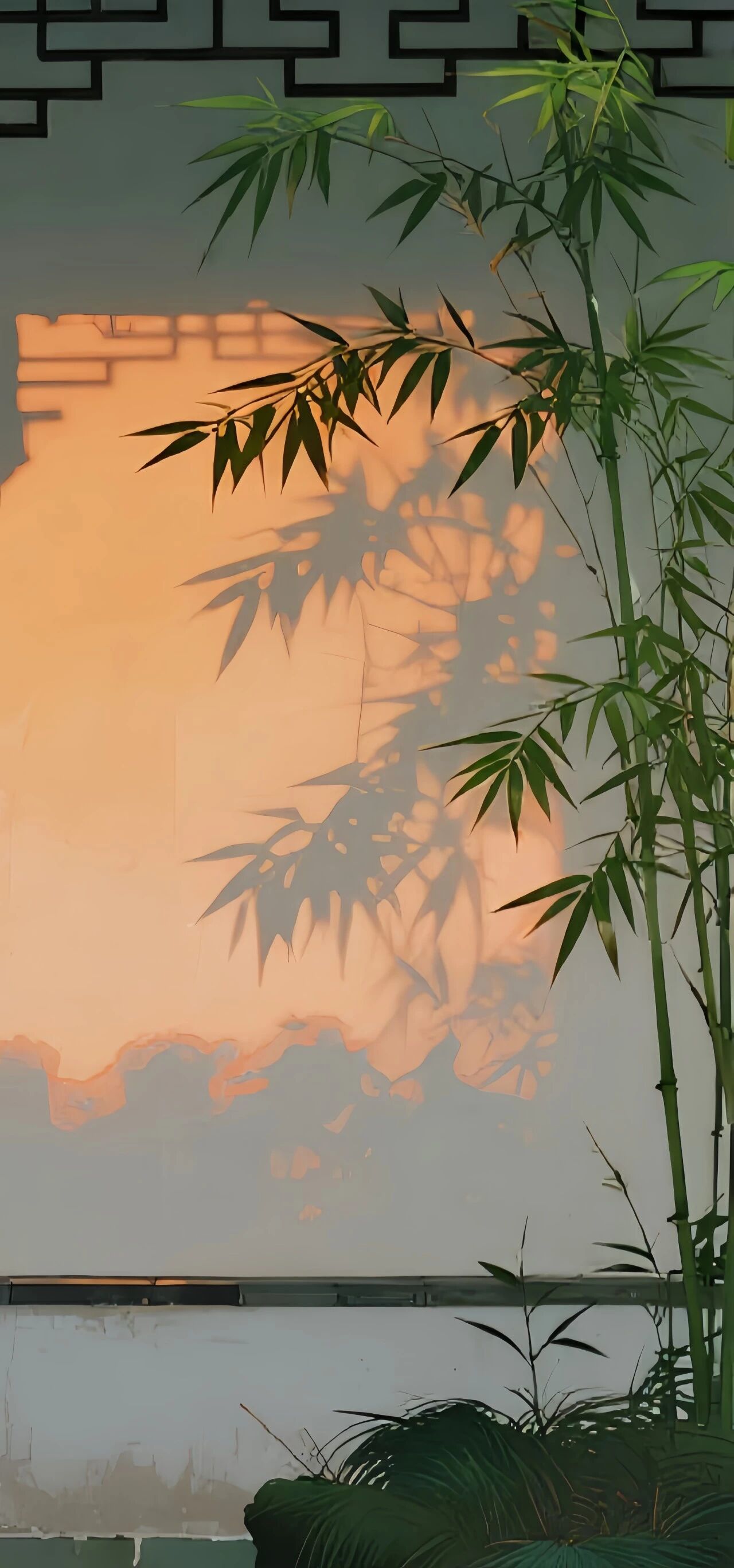 小灵鹤🍁25号休的图片