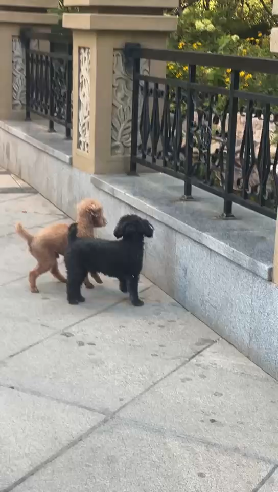 不一样的颜色感觉真不