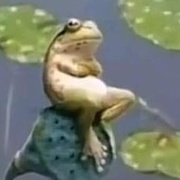聋三🐸蹭🎵