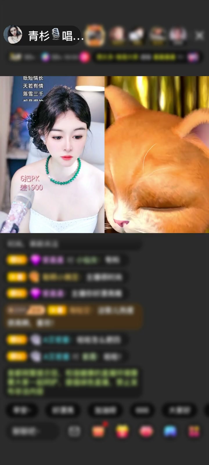 感谢神秘人赠送梦幻游乐园1个